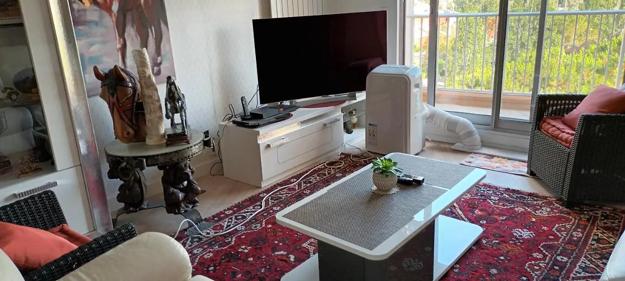 Capitale Du Mimosa Apartment Mandelieu-la-Napoule 0*,